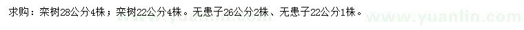 求購22、28公分欒樹、22、26公分無患子