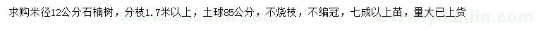 求購米徑12公分石楠樹