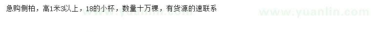 求購高1.3米以上側(cè)柏