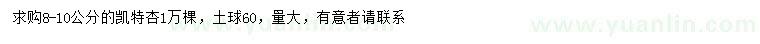 求購8-10公分凱特杏