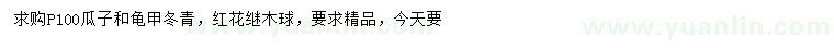 求購瓜子、龜甲冬青、紅花繼木球