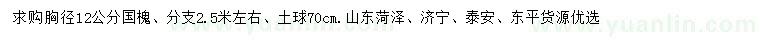 求購胸徑12公分國槐