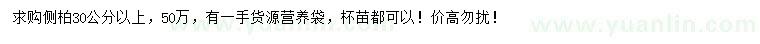 求購(gòu)30公分以上側(cè)柏小苗