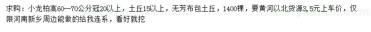 求購高60-70公分小龍柏