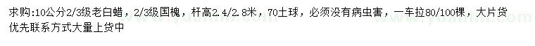 求購(gòu)10公分老白蠟、國(guó)槐