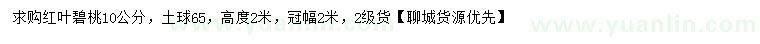 求購10公分紅葉碧桃