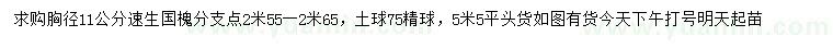 求購胸徑11公分速生國槐