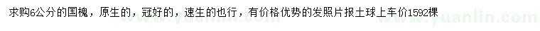 求購(gòu)6公分國(guó)槐