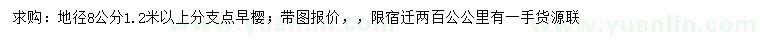求購地徑8公分早櫻
