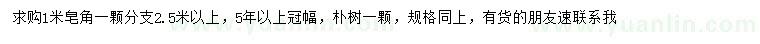 求購(gòu)1米皂角、樸樹
