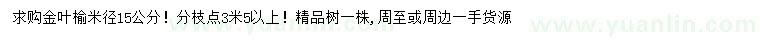 求購米徑15公分金葉榆