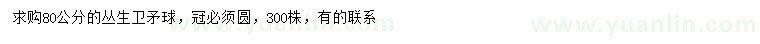 求購80公分叢生衛(wèi)矛球