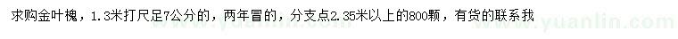 求購1.3米量足7公分金葉槐