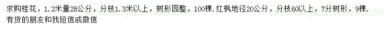 求購28公分桂花、20公分紅楓