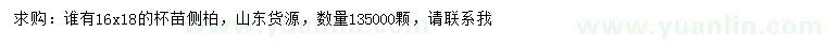 求購側(cè)柏