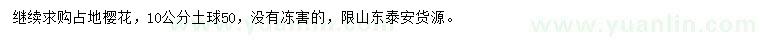 求購10公分櫻花