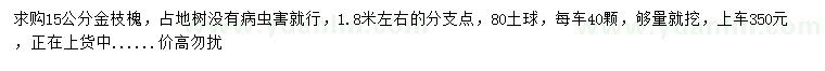 求購15公分金枝槐