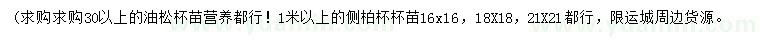 求購(gòu)30公分以上油松、1米以上側(cè)柏