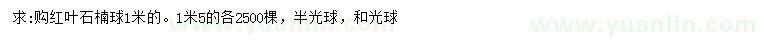 求購1、1.5米紅葉石楠球