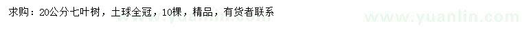 求購(gòu)20公分七葉樹