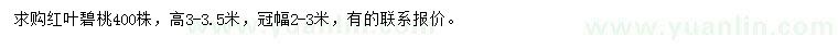 求購高3-3.5米紅葉碧桃