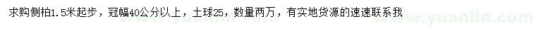 求購1.5米起步側(cè)柏