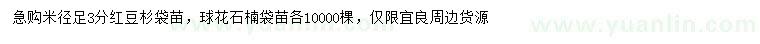 求購米徑足3公分紅豆杉、石楠