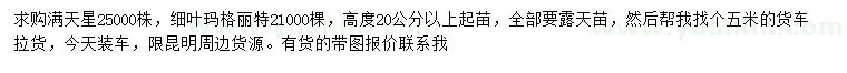 求購(gòu)高20公分以上滿天星、細(xì)葉瑪格麗特