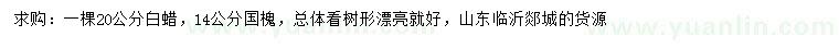 求購(gòu)20公分白蠟、14公分國(guó)槐