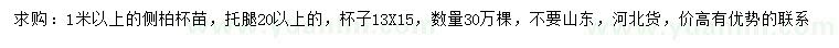 求購1米以上側(cè)柏