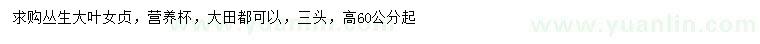 求購高60公分起叢生大葉女貞
