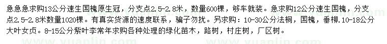 求購速生國槐、法桐、國槐等