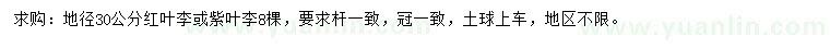 求購地徑30公分紅葉李或紫葉李