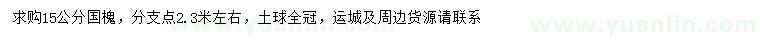 求購15公分國槐
