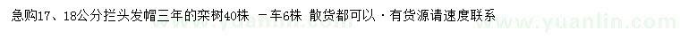 求購17、18公分欒樹