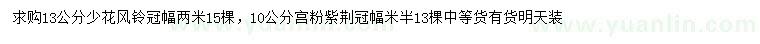 求購13公分少花風(fēng)鈴、10公分宮粉紫荊