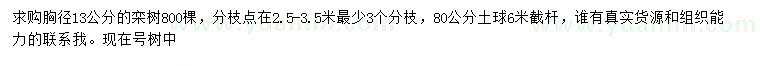 求購胸徑13公分欒樹