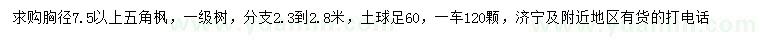 求購胸徑7.5公分以上五角楓