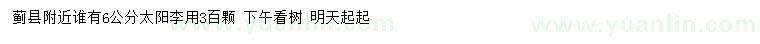 求購6公分太陽李