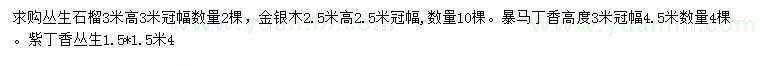 求購叢生石榴、金銀木、暴馬丁香等