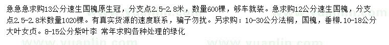 求購速生國槐、法桐、國槐等