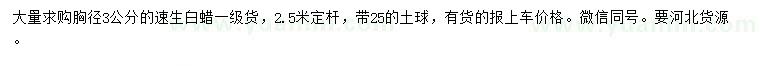 求購胸徑3公分速生白蠟