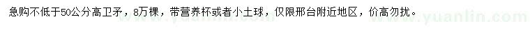 求購高50公分以上衛(wèi)矛