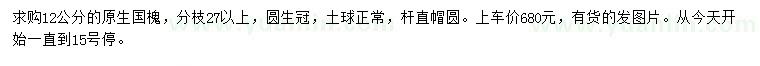 求購12公分國槐