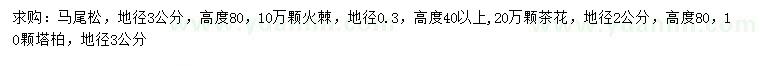 求購馬尾松、火棘、茶花等