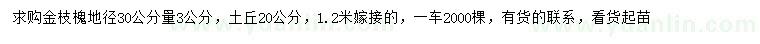 求購地徑30公分量3公分金枝槐