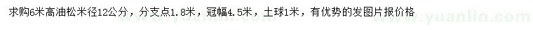 求購米徑12公分油松
