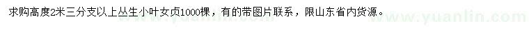 求購高2米叢生小葉女貞