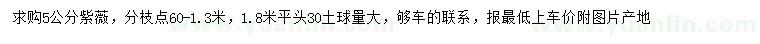 求購5公分紫薇