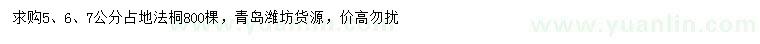 求購5、6、7公分占地法桐